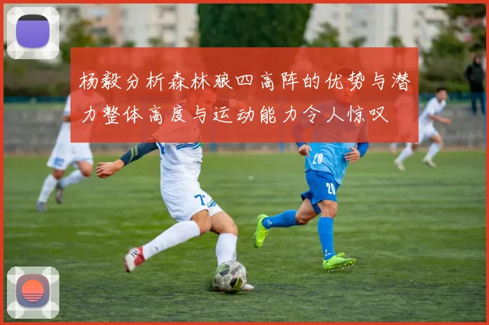 杨毅分析森林狼四高阵的优势与潜力整体高度与运动能力令人惊叹