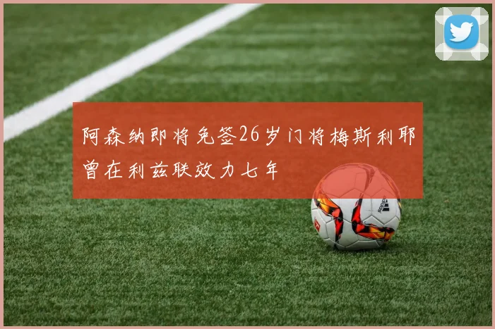 阿森纳即将免签26岁门将梅斯利耶曾在利兹联效力七年